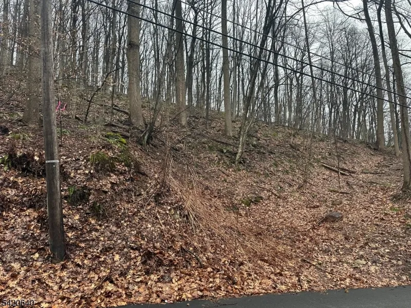 120 Millbrook Road Franklin, NJ 07882