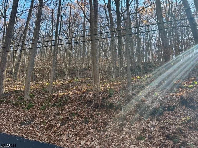 120 Millbrook Road Franklin, NJ 07882