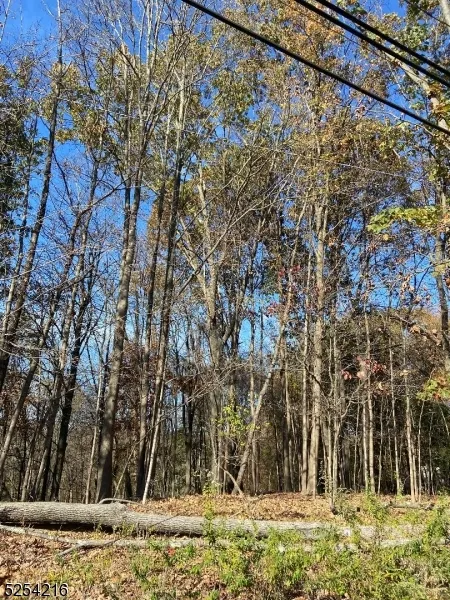 0 Terhune Dr Wayne, NJ 07470
