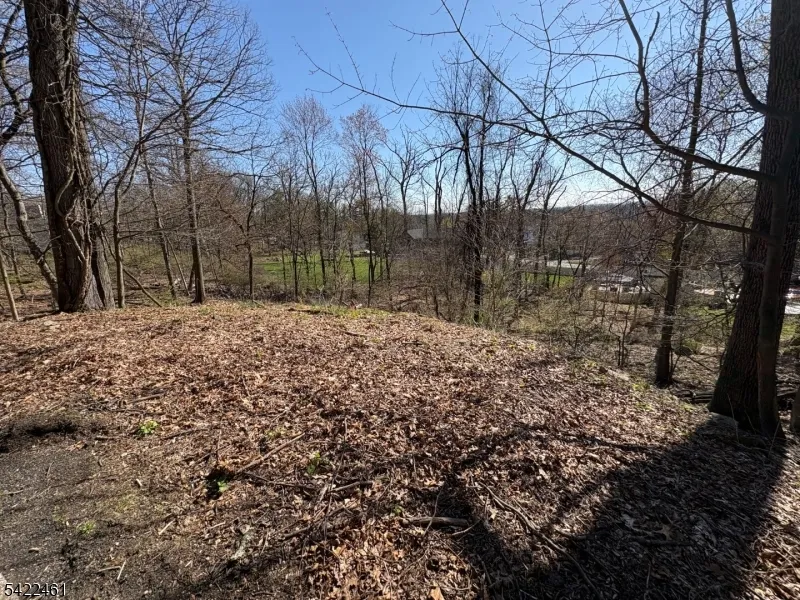 38 Dalewood Rd Wayne, NJ 07470