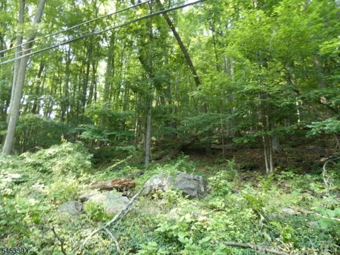 20 Sawmill Rd