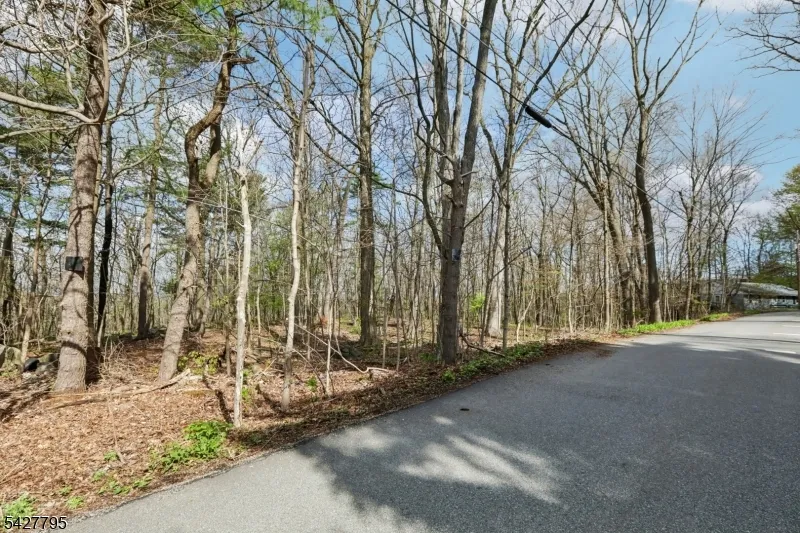 11 Alamoosook Rd Vernon, NJ 07422