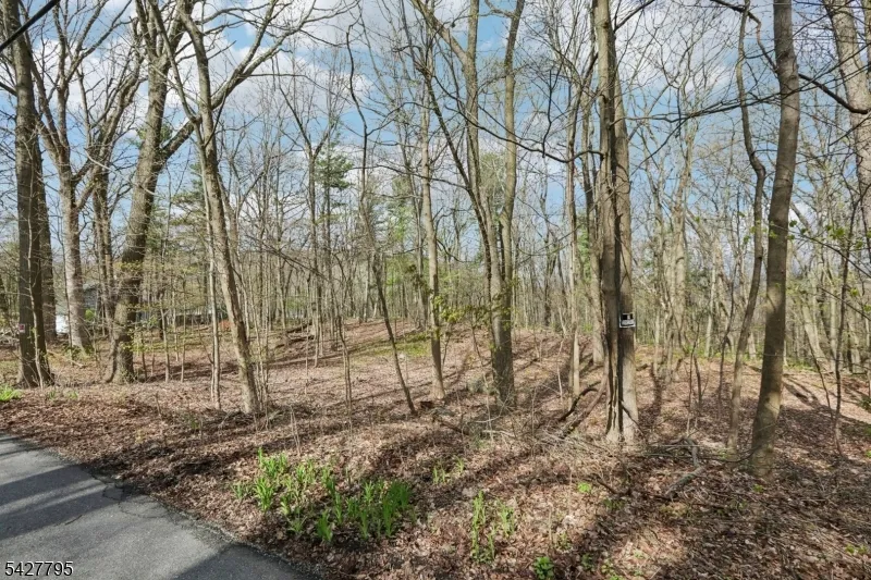 11 Alamoosook Rd Vernon, NJ 07422
