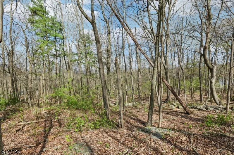 11 Alamoosook Rd Vernon, NJ 07422