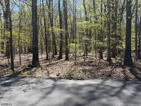 61 Quenby Mountain Rd