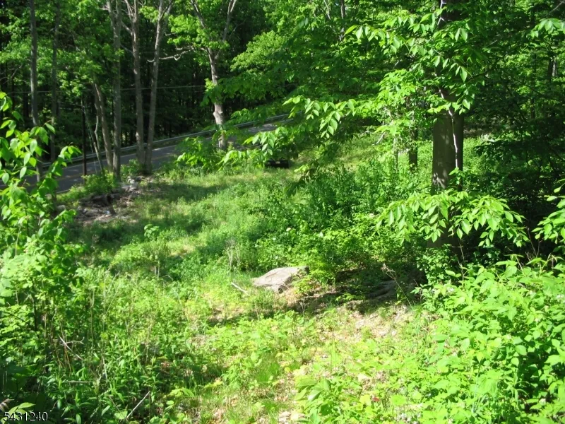 67 Pidgeon Hill Wantage, NJ 07461