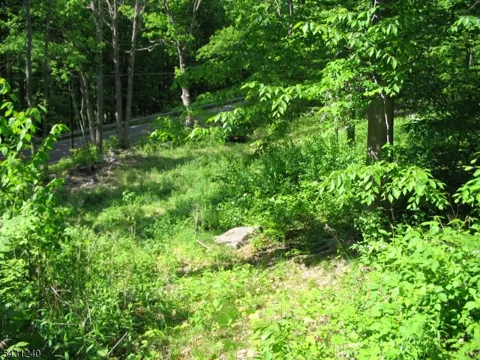 67 Pidgeon Hill