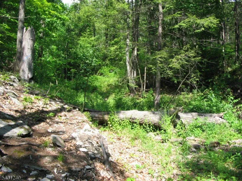 67 Pidgeon Hill Wantage, NJ 07461
