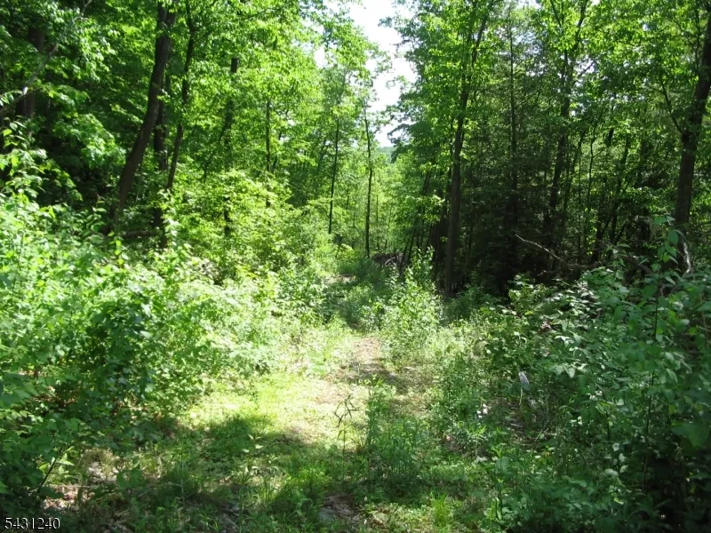 67 Pidgeon Hill Wantage, NJ 07461