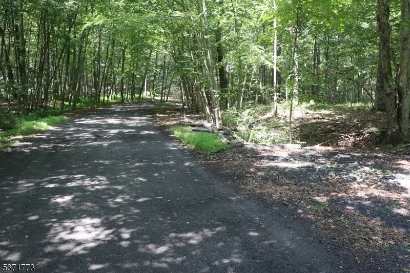 26 Fawn Run Montague, NJ 07827