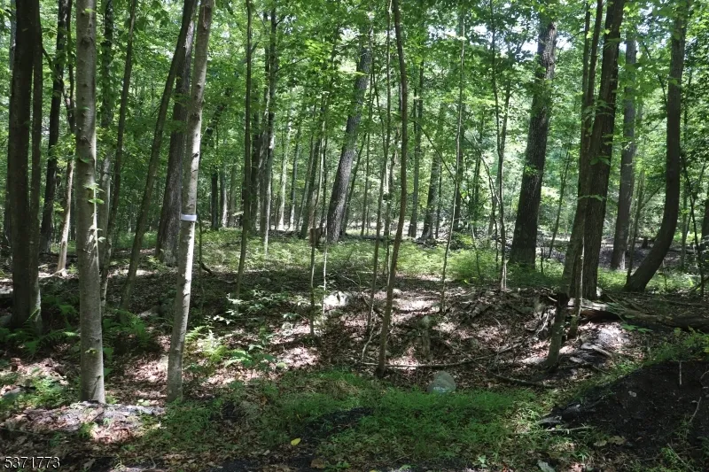 26 Fawn Run Montague, NJ 07827