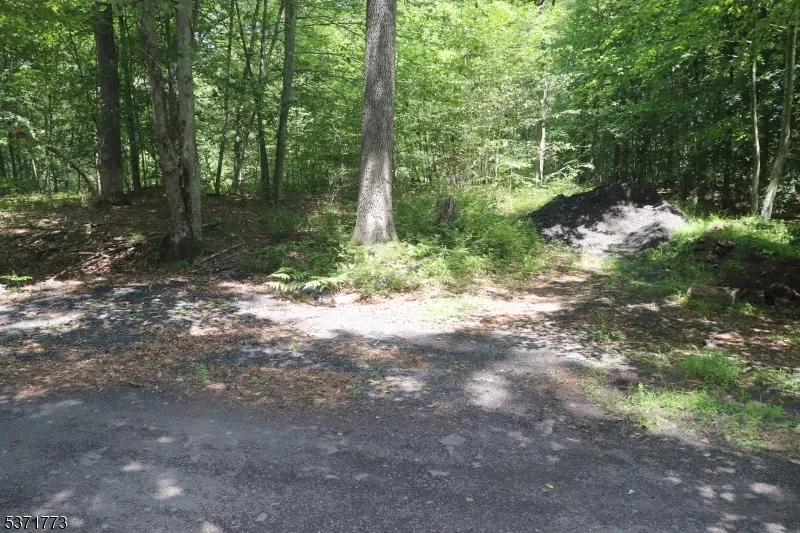 26 Fawn Run Montague, NJ 07827