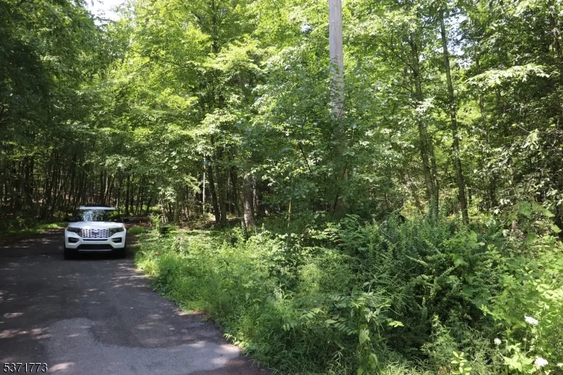 26 Fawn Run Montague, NJ 07827