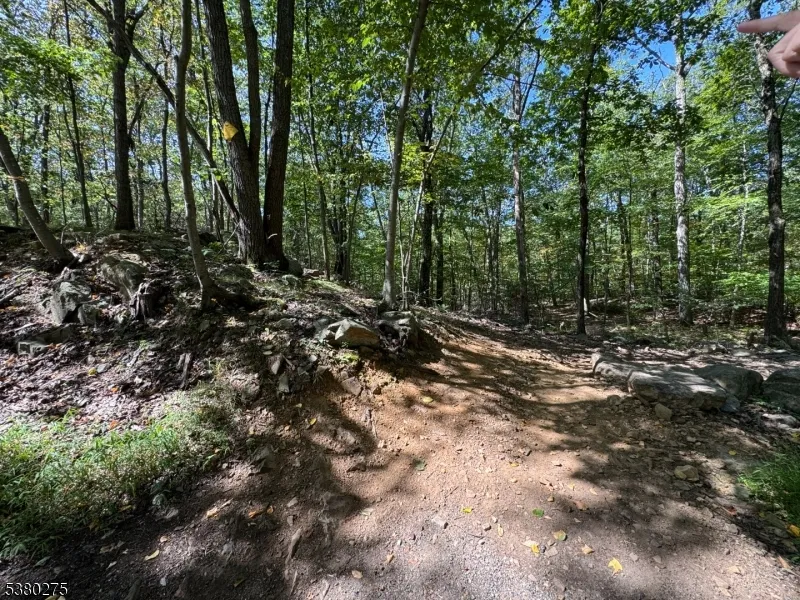 802 Brooklyn Mountain Rd Hopatcong, NJ 07843