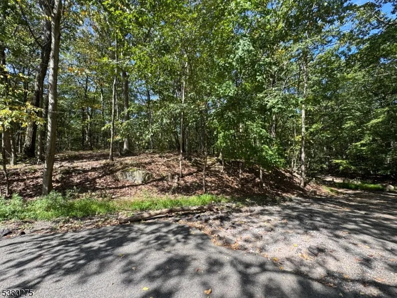 802 Brooklyn Mountain Rd Hopatcong, NJ 07843