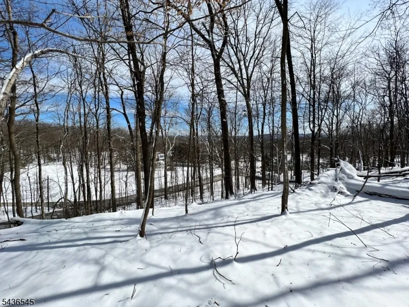 3 Kimble Ln Sparta, NJ 07871