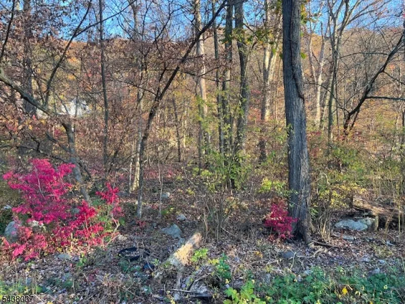 9 Old Woodland Trl Jefferson, NJ 07438
