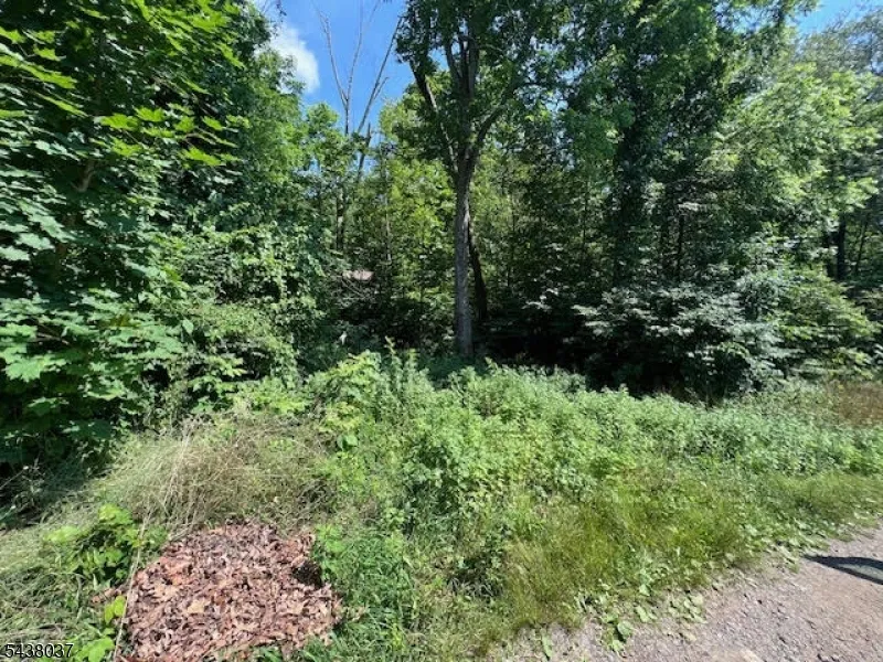 9 Old Woodland Trl Jefferson, NJ 07438