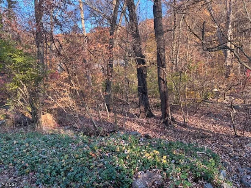 9 Old Woodland Trl Jefferson, NJ 07438