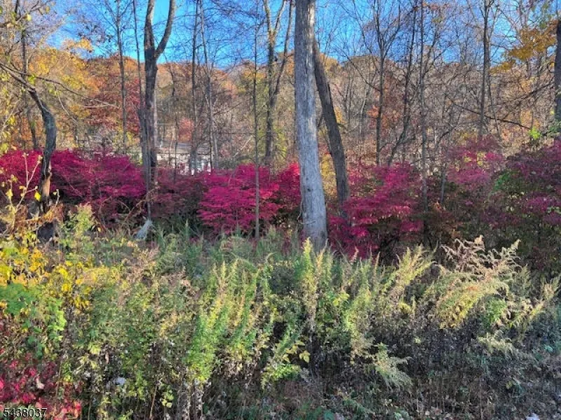 9 Old Woodland Trl Jefferson, NJ 07438