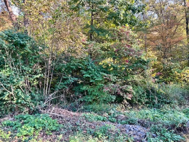 9 Old Woodland Trl Jefferson, NJ 07438