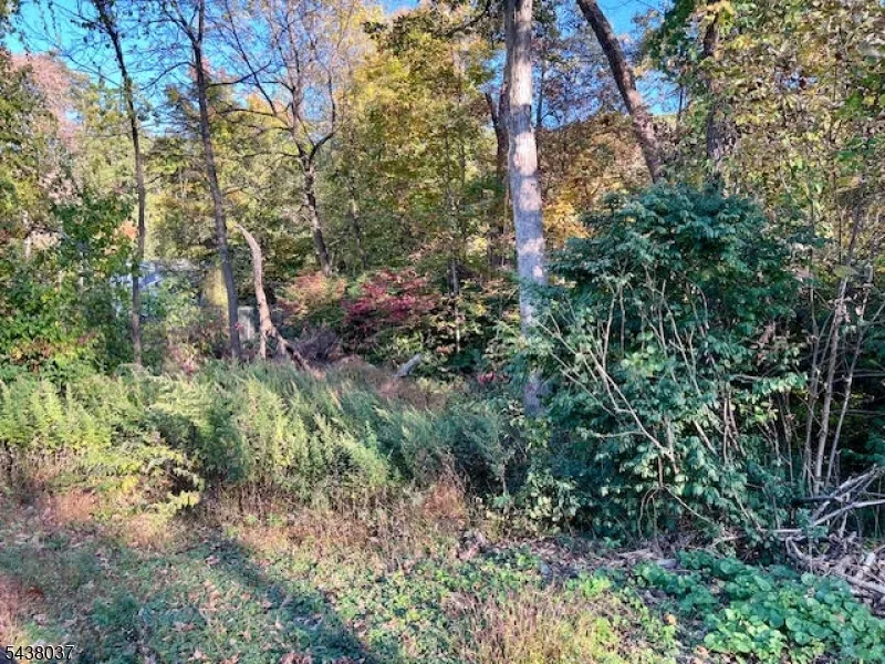 9 Old Woodland Trl Jefferson, NJ 07438