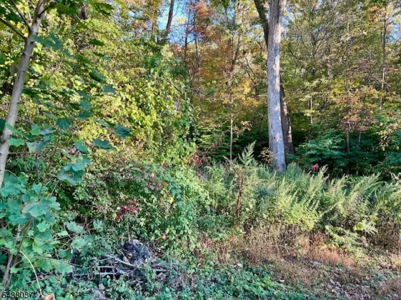 9 Old Woodland Trl Jefferson, NJ 07438
