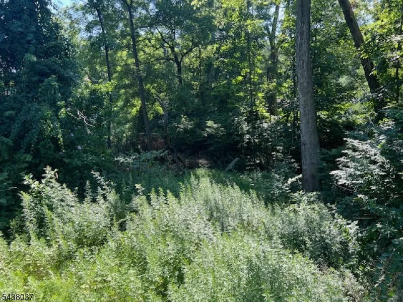 9 Old Woodland Trl Jefferson, NJ 07438