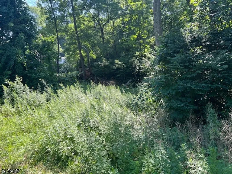 9 Old Woodland Trl Jefferson, NJ 07438