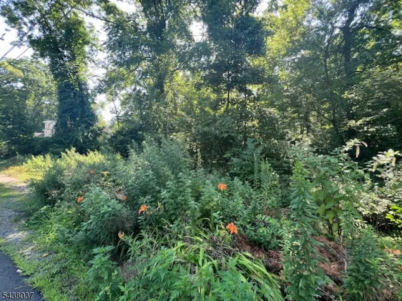 9 Old Woodland Trl Jefferson, NJ 07438