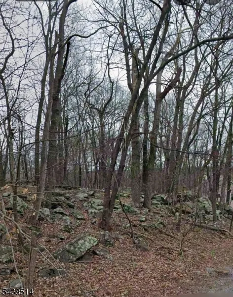 4 Hillcrest Dr Vernon, NJ 07461
