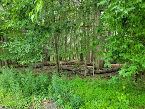 231 Old Chimney Ridge Rd