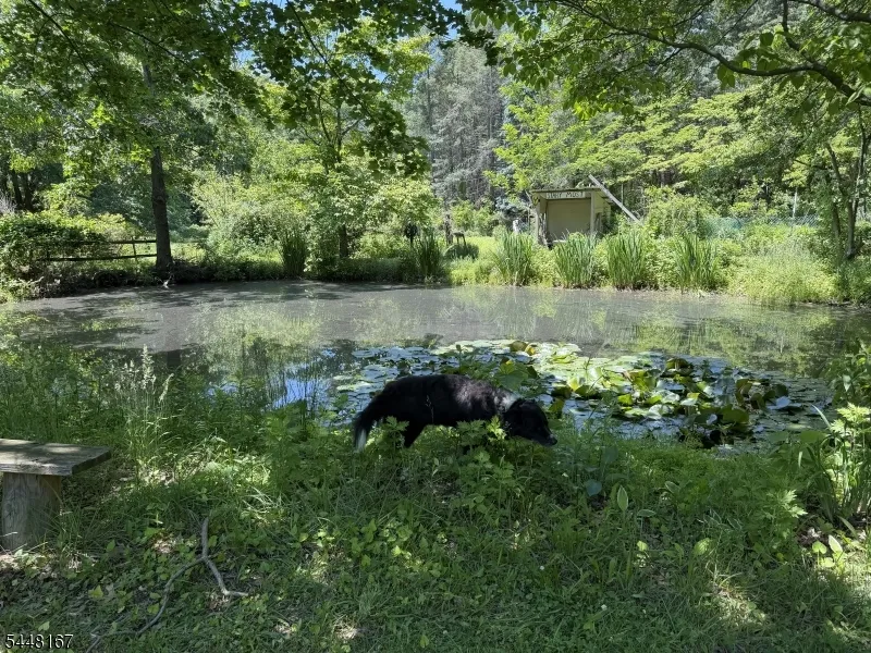 52 Cottrell Rd Old Bridge, NJ 07747