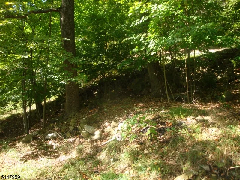 207 Hudson Ave Hopatcong, NJ 07843