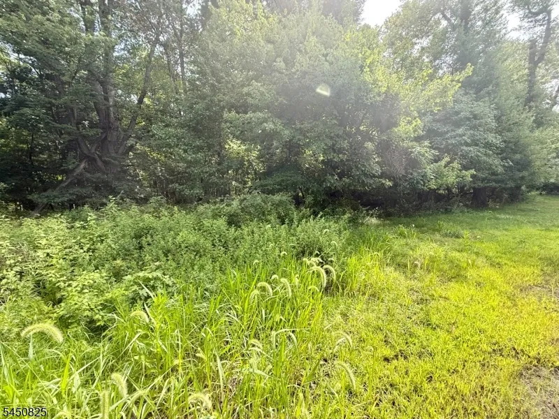 70 Fairfield Rd Wayne, NJ 07470