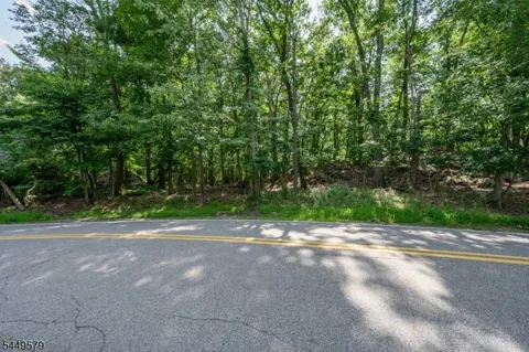 782 Brooklyn Mountain Rd