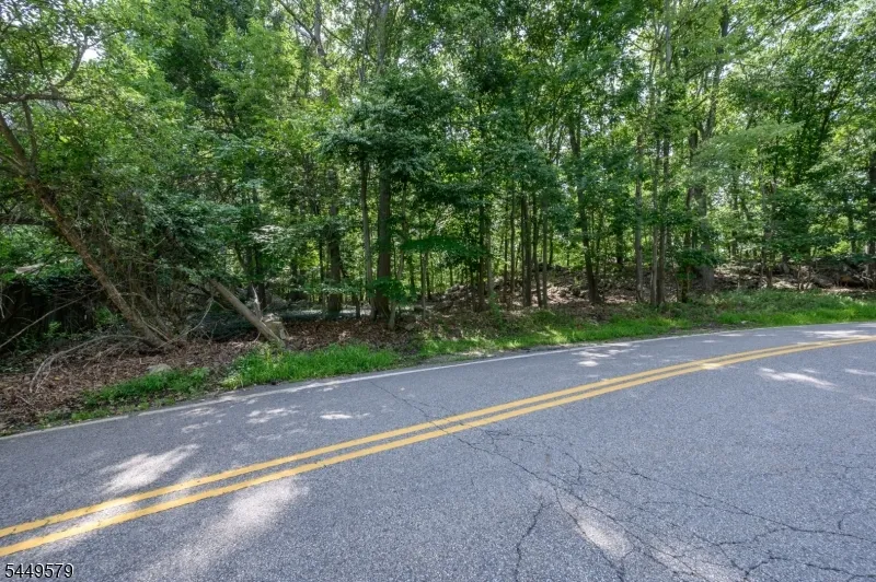 782 Brooklyn Mountain Rd Hopatcong, NJ 07843