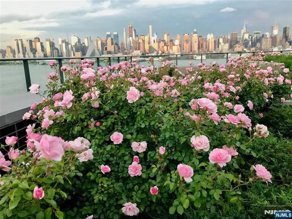 1200 Avenue Port Imp 705 Weehawken, NJ 07086