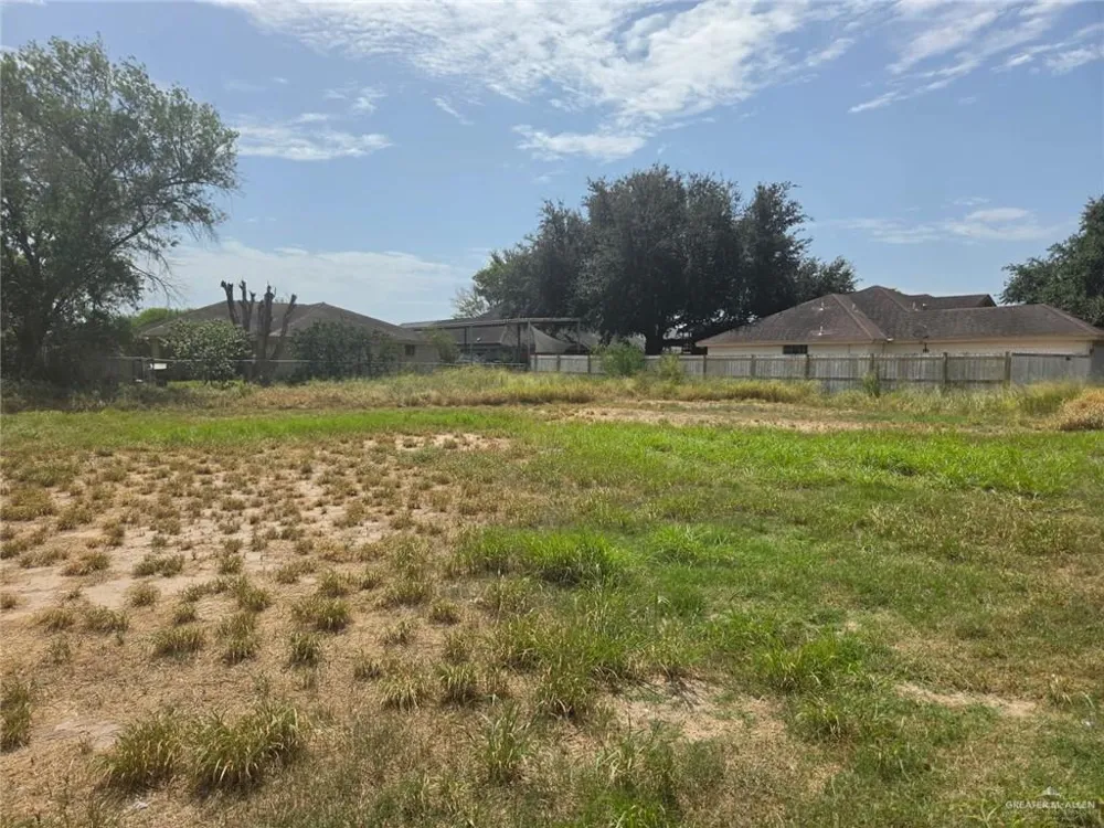 506 Tierra Linda Boulevard Palmview, TX 78572