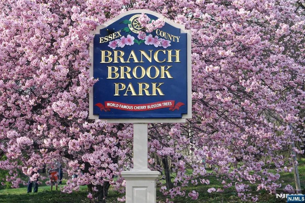 375 Mount Prospect 7DE Newark, NJ 07104