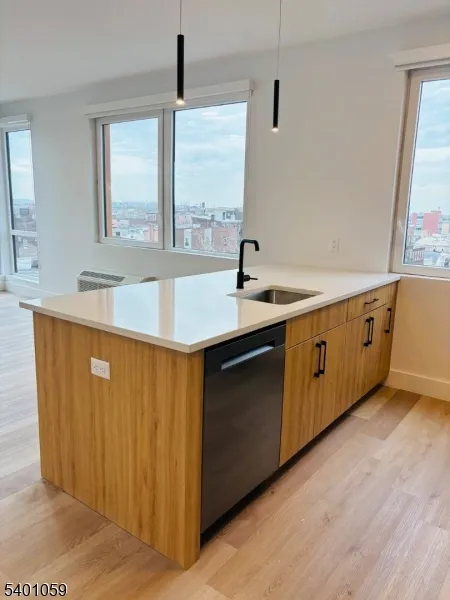 39 Madison St Newark City, NJ 07105
