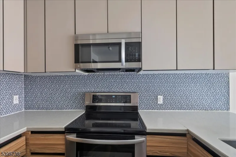 315 S Harrison St #1 Unit 1 East Orange City, NJ 07018