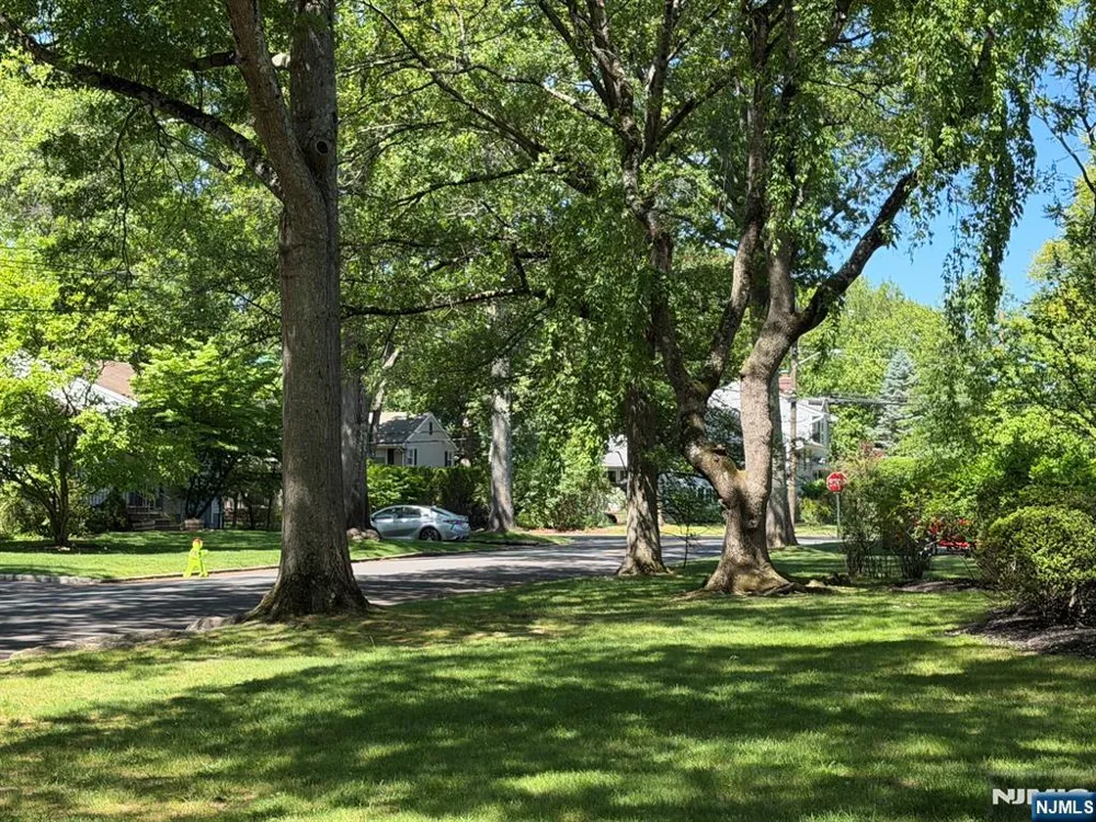 3 Spruce Place Ho-Ho-Kus, NJ 07423