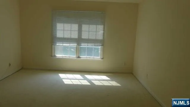 85 Buckthorn Paramus, NJ 07652