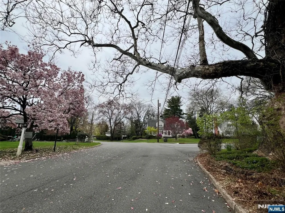 161 McKinley Place Ridgewood, NJ 07450