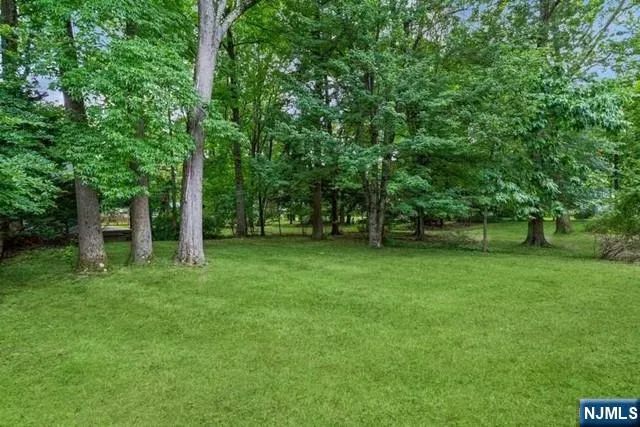 62 Buff Road Tenafly, NJ 07670