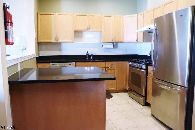 370 Summerhill Dr Parsippany-Troy Hills, NJ 07950