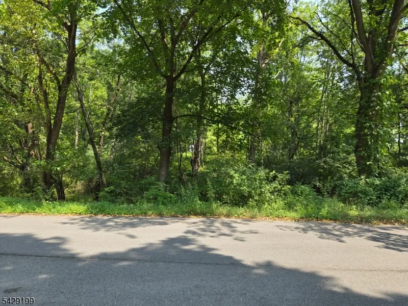 1041 Ridge St #B 59 Unit B 59 Phillipsburg Town, NJ 08865