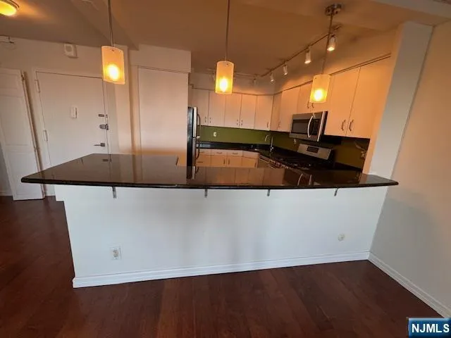 1203 River Road 17G Edgewater, NJ 07020