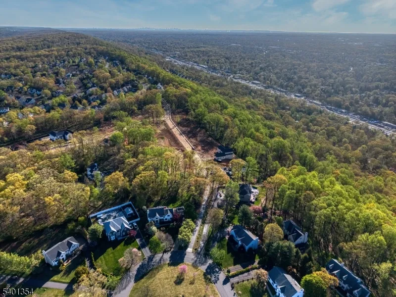 4 Harlow Pointe Cove Green Brook, NJ 08812